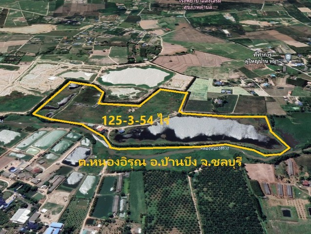 ขายที่ดินสวย บ้านบึง ชลบุรี ระยอง 126 ไร่ สำหรับสวนป่า สวน ปลูกป่า คาร์บอนเครดิต รีสอร์ต 6 แสนกว่าต่อไร่ 