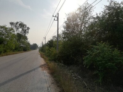 ผืนดินไทยทรงคุณค่า  ขายที่แปลงสวยติดติดทางหลวง1107 จ.ตาก  