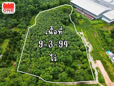 ที่ดินสวนผสม 9-3-94 ไร่ มียางพารา 550 ต้น ต้นมังคุด 163 ต้น 