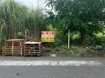 ขายที่ดินเปล่า 2 ไร่  ซอยร่มเกล้า 25  คลองสามประเวศ  ลาดกระบัง กร
