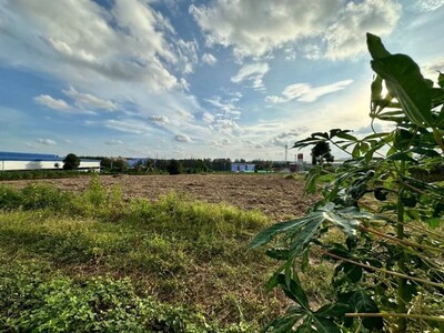 ขายที่ดินบ่อวิน ศรีราชา ชลบุรี 