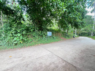 Seize the Opportunity Expansive Land for Lease 