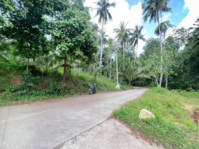  3 Rai Chanote Land in Lipa Noi, Perfect for Business or Resort