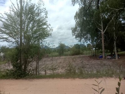 ขายที่ดินเปล่าถมแล้ว ตรงข้าม ม.ศิลปากร  สามพระยา ชะอำ เพชรบุรึ