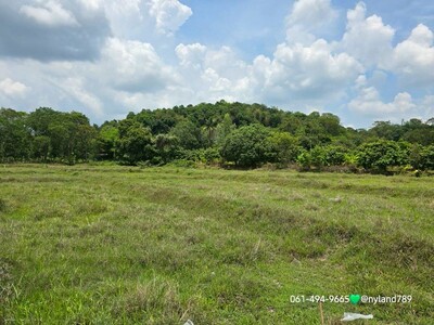ขายที่ดินเชิงเขา รูปที่สวยทุกแปลง ต.ศรีนาวา อ.เมืองนครนายก