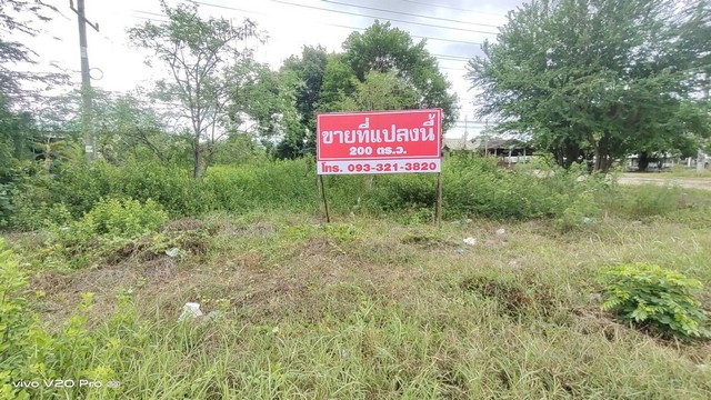 ขายด่วน ที่ดิน 200 ตร.วา ติดถนนใหญ่สายสี่ ตำบลศาลาลัย อำเภอสามร้อยยอด จังหวัดประจวบคีรีขันธ์