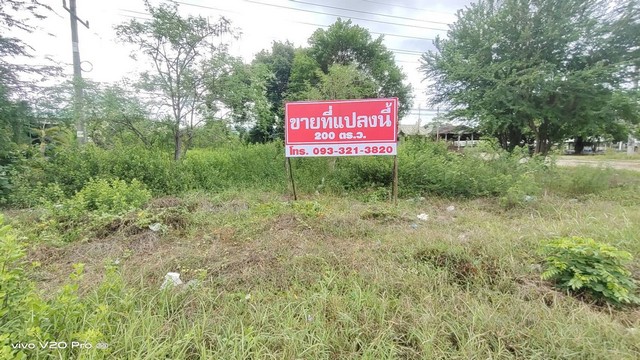 ขายด่วน ที่ดิน 200 ตร.วา ติดถนนใหญ่สายสี่ ตำบลศาลาลัย อำเภอสามร้อยยอด จังหวัดประจวบคีรีขันธ์