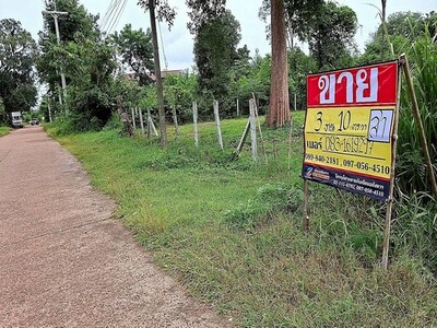 ขายที่ดิน 310 วา  โพธ์ชัย เมืองหนองคาย  ราคาถูก ทำเลดี ใจกลางเมือ
