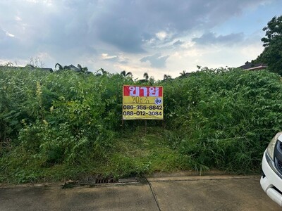 ขายที่ดิน‭ ‬ซอยพุทธมณฑลสาย 2 ซอย 12 เนื้อที่ 208 ตารางวา
