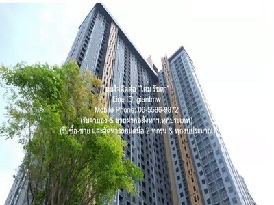 ให้เช่าคอนโด พลัมคอนโด เซ็นทรัล สเตชั่น เฟส 1 (Plum Condo Central
