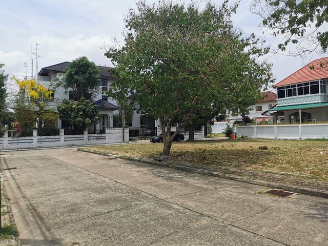 ขายที่ดิน บางนา 114วา ใกล้เมกะ เซ็นทรัล ทำเลดี ติดทะเลสาป แปลงหัวมุม