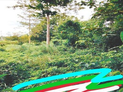 มูลค่าทวีเพิ่มทรัพย์ในดิน ที่ดินติดลำธารน้ำมวบ ใสไหลฉ่ำตลอดปี จ.น