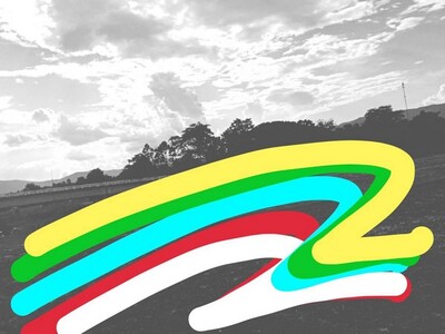 มูลค่าทวีทรัพย์ในดิน ขายที่ติดแม่น้ำน่าน อ.ท่าวังผา น่าน 09688218