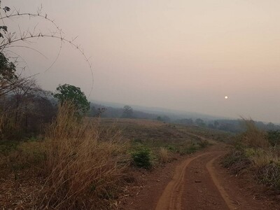 มูลค่าทวีทรัพย์ในดิน ที่บนเนินเขา สูงจากน้ำทะเล หล่มเก่า เพชรบูรณ