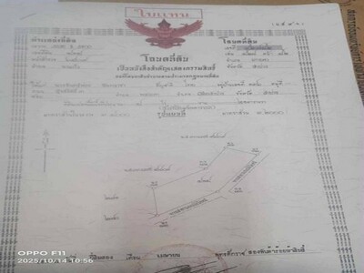 ขายที่ดินนาแก้ว อำเภอเกาะคา จังหวัดลำปาง พร้อมต้นสัก 100 กว่าต้น