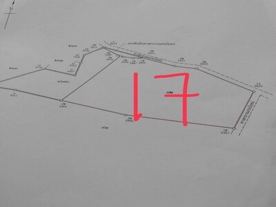 ขายที่ดินมาบไผ่บ้านบึงชลบุรี 17ไร่1งาน19ตร.ว.