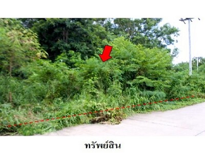 ขายที่่ดินว่างเปล่าโครงการ สวนวลีแลนด์ 4 ทับมา  เมืองระยอง ระยอง