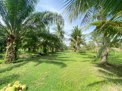 ขายที่ดินสวย อำเภอหัวหิน ทับใต้ จังหวัดประจวบฯ 24 ไร่ 1งาน 73 ตาร