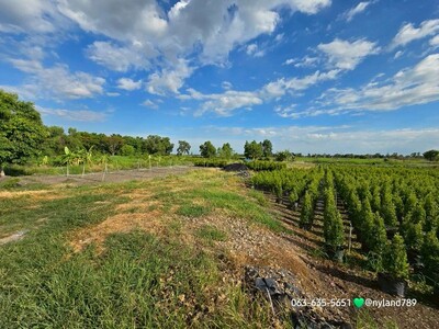 ขายที่สวยติดคลอง หลังมศว.องครักษ์ จ.นครนายก ขายรวม 2 โฉนด