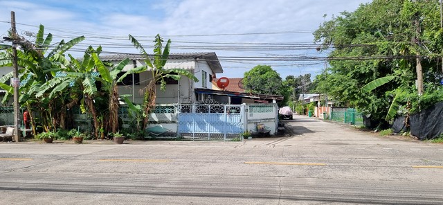 ขายที่ดินพร้อมบ้าน 53 ตารางวา หัวมุม  หมู่บ้านบัวขาว รามคำแหง 174 ราคาพิเศษ