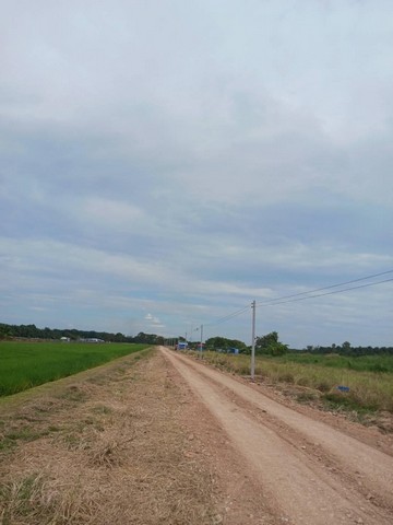 ที่ดิน 200 ตารางวา คลอง 8 บึงบอน หนองเสือ ปทุมธานี 