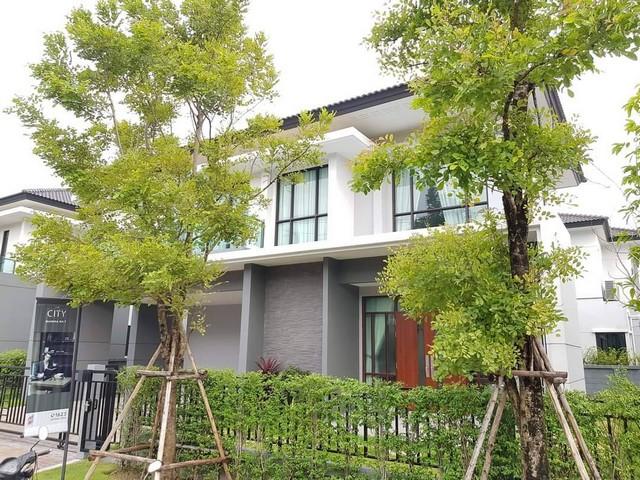 ให้เช่าบ้านเดี่ยว 2 ชั้น โครงการ เดอะซิตี้ บางนา กม.7 ซอยราชวินิตบางแก้ว ใกล้เมกา บางนา