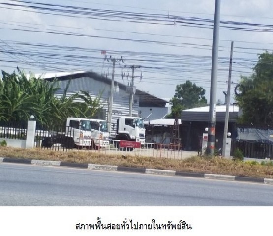 ขายโรงงาน สูงเนิน, นครราชสีมา(โคราช) ราคาทุน 4-2-99 ไร่ ทำเลดี ติดถนนมิตรภาพ