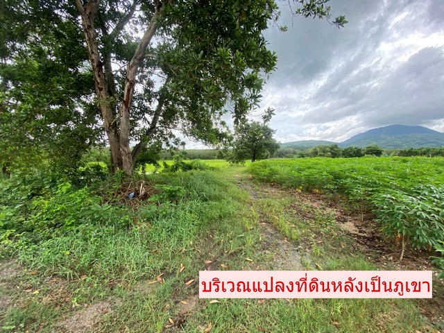 ขายที่ดินไร่ละ 2 ล้านบาท เนื้อที่ 3-3-61ไร่ ติดถนน รย 4009  หลังติดคลอง ต.ชากบก อ.บ้านค่าย จ.ระยอง 