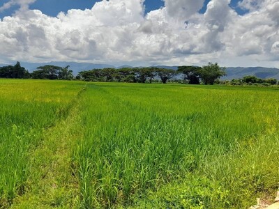 ขายที่ดิน ติดถนน  4ไร่ 14 ตร.วา