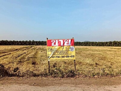 ขายที่ดิน 7 ไร่ อยู่ในซอยตรงข้ามวัดแคทราย  คูบัว  เมืองราชบุรี   