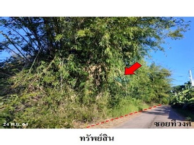 ขายบ้านเดี่ยว ออคิดวิลล่า บางเสาธง ถนน เทพรัตน บางเสาธง สมุทรปราก