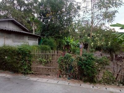 ขายที่ดินทำเลดี เพียง 1.2 ล้าน 113 ตรว. #หางดง เชียงใหม่