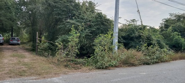 ทรัพย์ดีราคาคุยกันได้แถมวางดาวน์ผ่อนต่อได้  ขาย ที่สวยติดทางหลวง1107 เมืองบ้านตาก จ.ตาก คมนาคมสะดวกมาก 36 ไร่เศษ อ.บ้านตาก  จ.ตาก  ติด ทล.1107 โทร 0968821857