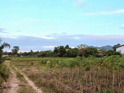 ขายที่ดิน 32 ไร่ ใกล้มอเตอร์เวย์ ตะเคียนเตี้ย เขาไม้แก้ว