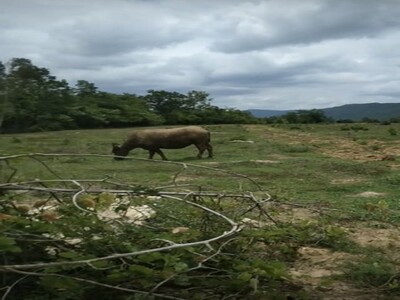 คุยง่ายขายคล่องให้ทางเลือก ที่สวยติดเขา เทือกเขายา ขอนแก่น
