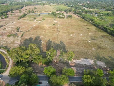 ขายที่ดินตะพงเมืองระยอง ขายที่ดิน 31 ไร่ ใกล้ถนนสุขุมวิท 