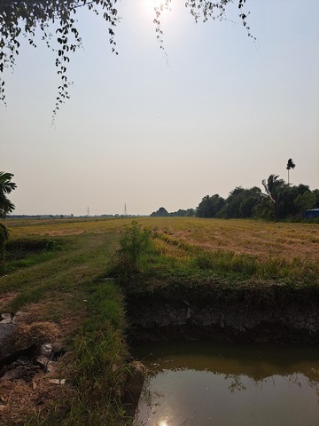 ขายที่ดิน เนื้อที่ 101 ไร่ 1 งาน 75 ตารางวา ลำลูกกา จ.ปทุมธานี