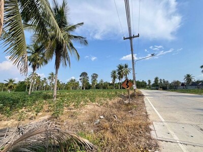 ขายที่ดินสวย ตะเคียนเตี้ยบางละมุงชลบุรี 42 ไร่ 