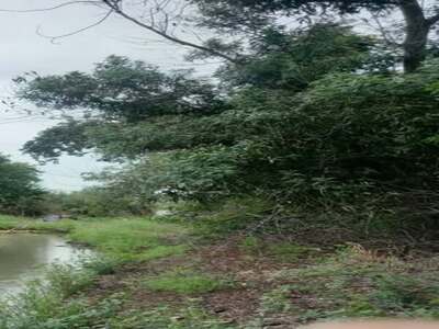 ขายด่วนทีดินเปล่า ขนาด1ไร่ตำบล บ้านแถว อำเภอเสนา อยุธยา