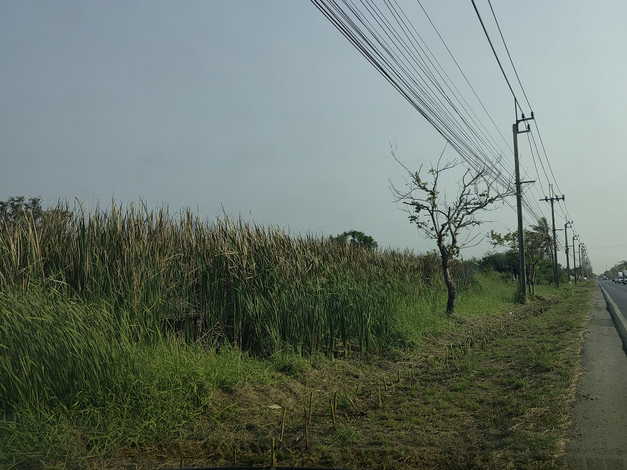 ขายที่ดิน 3 ไร่ ติดถนนร่วมพัฒนา ใกล้ถนนสุวินทวงค์ ต.ลำต้อยติ่ง เขต  หนองจอก (เจียระดับ) 