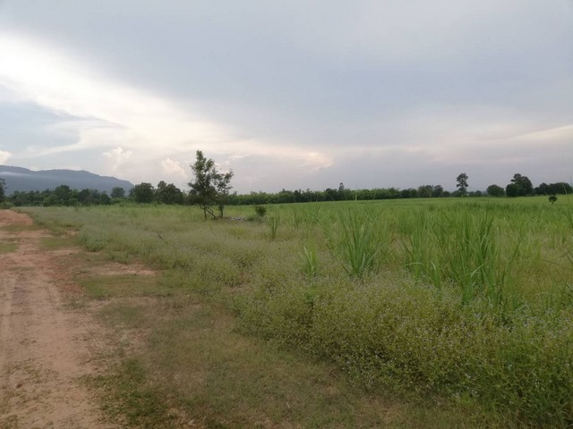 รวยทรัพย์รวยโชค ขาย ที่ดินสวยมากติดเขา ภูเวียง ต.นาจาน อ.สีชมพู จ.ขอนแก่น แบ่งโฉนดขายโทร083-7124115