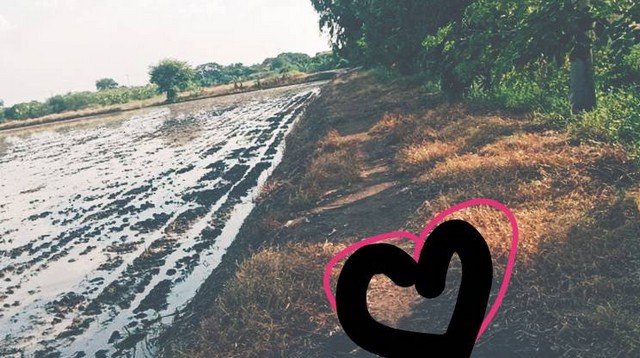 ทรัพย์มีค่าภูมิใจผู้ซื้อผู้หาราคาโดนๆ ลาดหลุมแก้ว  คมนาคมสะดวกสบาย เหมะปลูกบ้านทำการเกษตรดินดีวิวสวย บ่อเงินปุทม ใกล้แหล่งน้ำเหมาะทำเกษตร  ใกล้ชุมชน 5ไร่  อำเภอลาดหลุมแก้ว ปทุมธานี ลาดหลุมแก้วไร่ละ 1ลบ. โทร 083-7124115