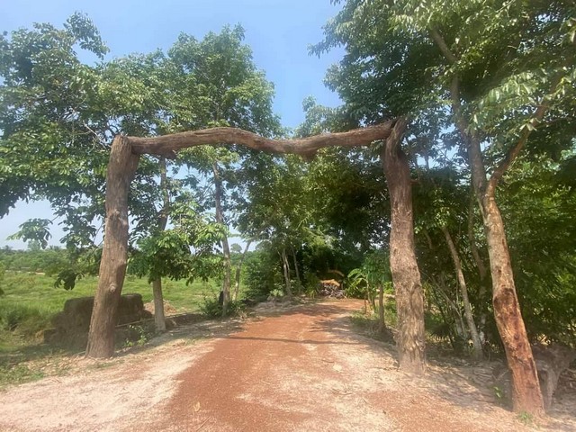 ขายที่ดิน โฉนดพร้อมโอน บ้านเชียงพิณ ตำบลเชียงยืน อำเภอเมือง จังหวัดอุดรธานี