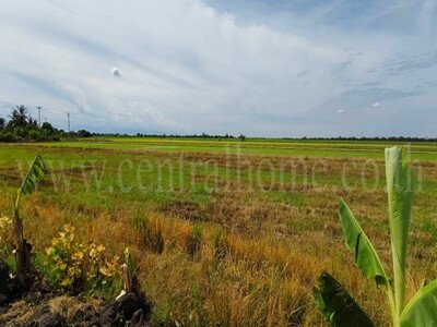 ที่ดินเปล่า 4 ไร่ 28.3 ตร.วา ถนนบางเลน 346 นครปฐม ราคาถูก