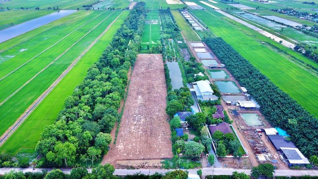 KM50 Land For Sale ที่ดินจัดสรร 9 แปลง ที่ถมแล้ว ติดถนนเลียบคลอง12 ใกล้สนามกอล์ฟลำลูกกาคันทรี่คลับ