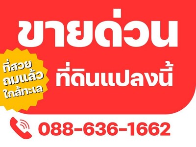 ที่ดิน ไม่เปลี่ยว - ไม่เหงา มีเพื่อนบ้าน ใกล้ทะเล หาดแหลมแม่พิมพ์