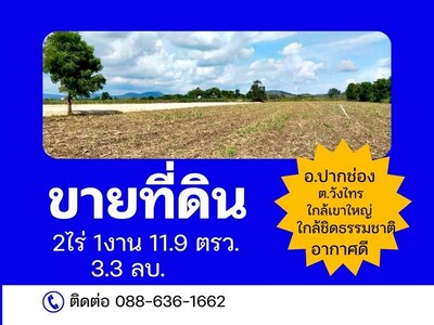 ที่ดิน ที่ดินใกล้ธรรมชาติ ซับหวาย ต.วังไทร ปากช่อง เขาใหญ่ นครราช