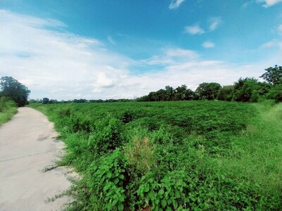 ขายที่ดินเปล่า 53-1-55  ไร่  วังม้า  ลาดยาว นครสวรรค์ 