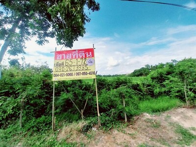 ขายที่ดินเปล่า  65 - 1 - 72  ไร่  หนองยาว  ลาดยาว  นครสวรรค์
