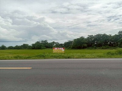 ที่ดินเปล่า15 -0-65 ไร่   หนองนมวัว ลาดยาว นครสวรรค์  ติดวิวเขา 